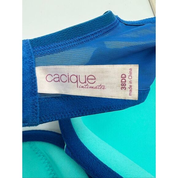 CACIQUE Intimates Bra Size 38DD Blue Green Push Up Embroidered Leaf w/ Underwire - Picture 5 of 10